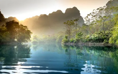 高效高标准高效